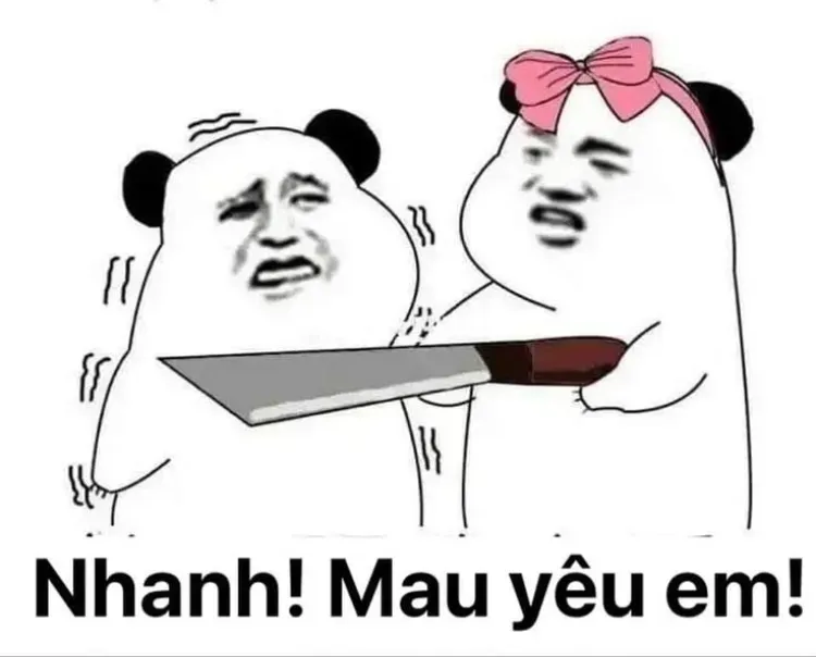 cute meme ảnh troll 6