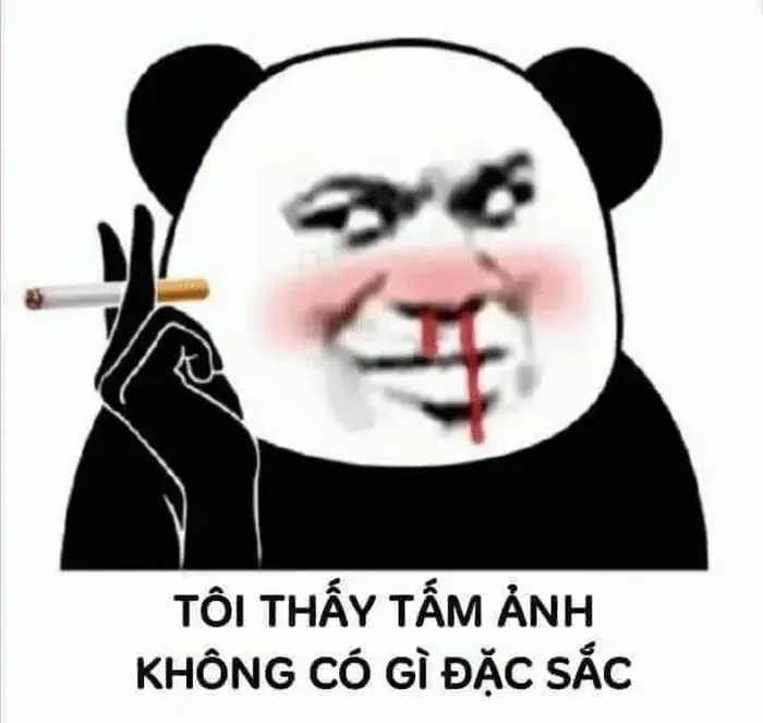 hài hước meme gấu trúc troll face 18
