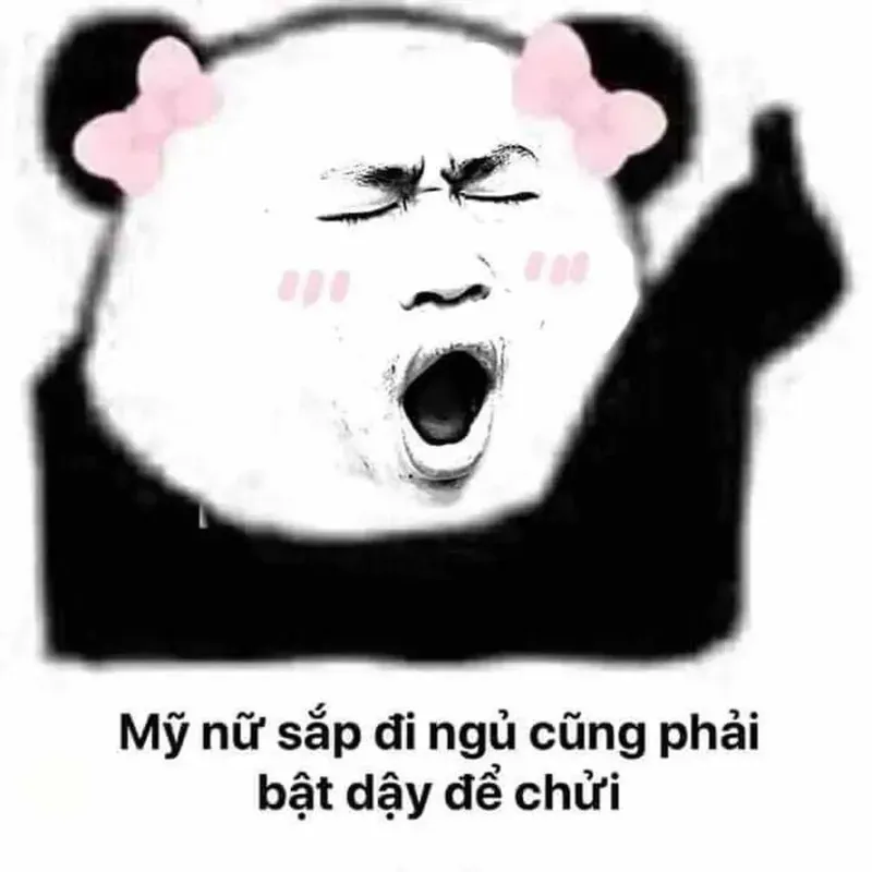 hài hước meme gấu trúc troll face 19