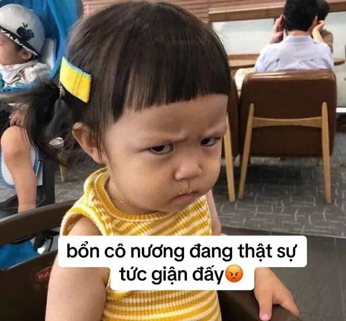 meme tức giận cute 19