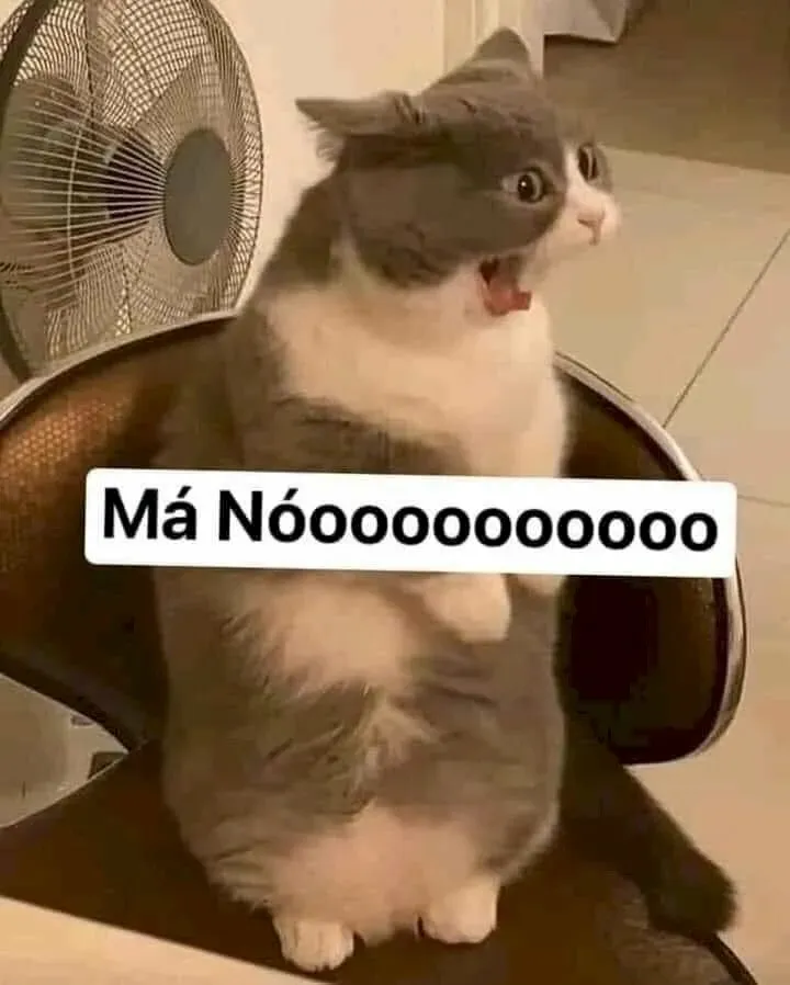 meme tức giận cute 20