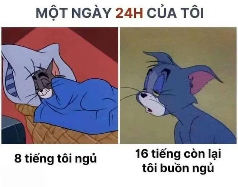 mèo tom meme face 32