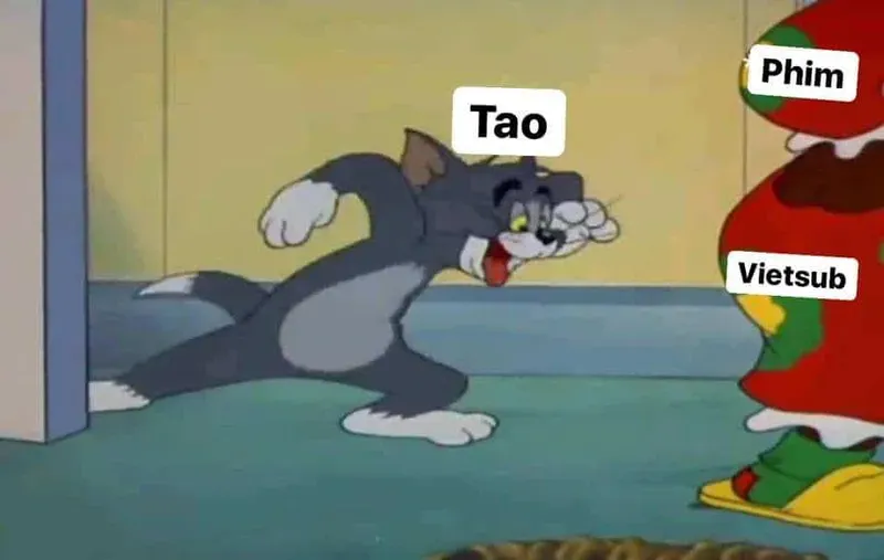mèo tom meme face 34