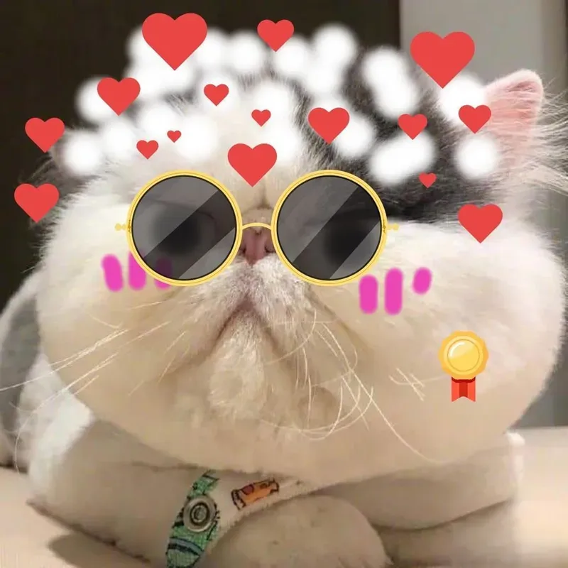 trái tim meme mèo cute 25