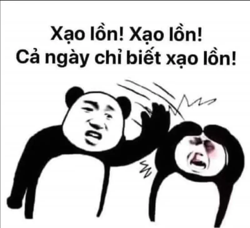 troll face meme gấu trúc bựa weibo 9
