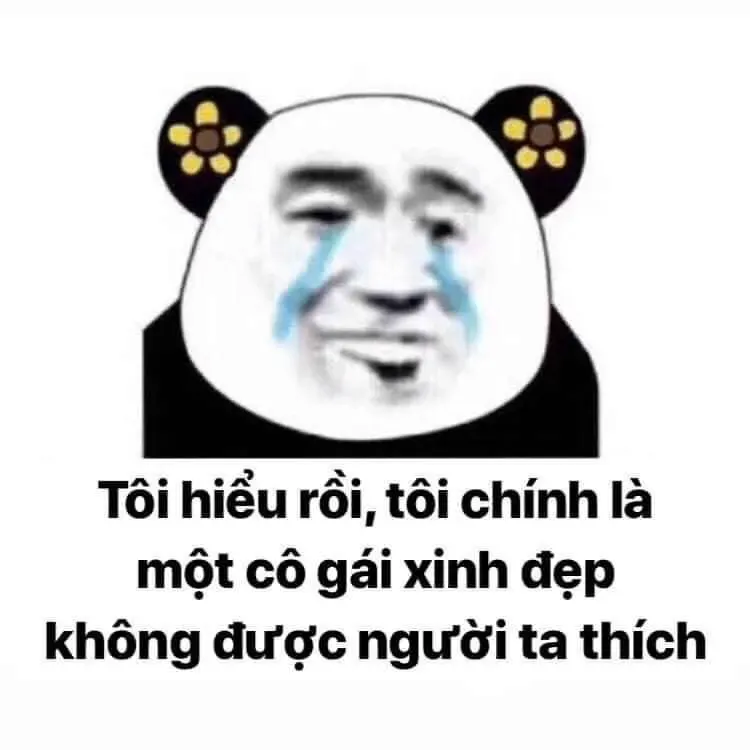 Truyện cười weibo meme gấu trúc troll face 21