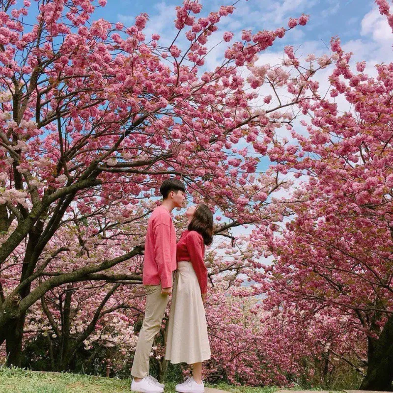 Avatar tình yêu ngọt ngào của cặp đôi