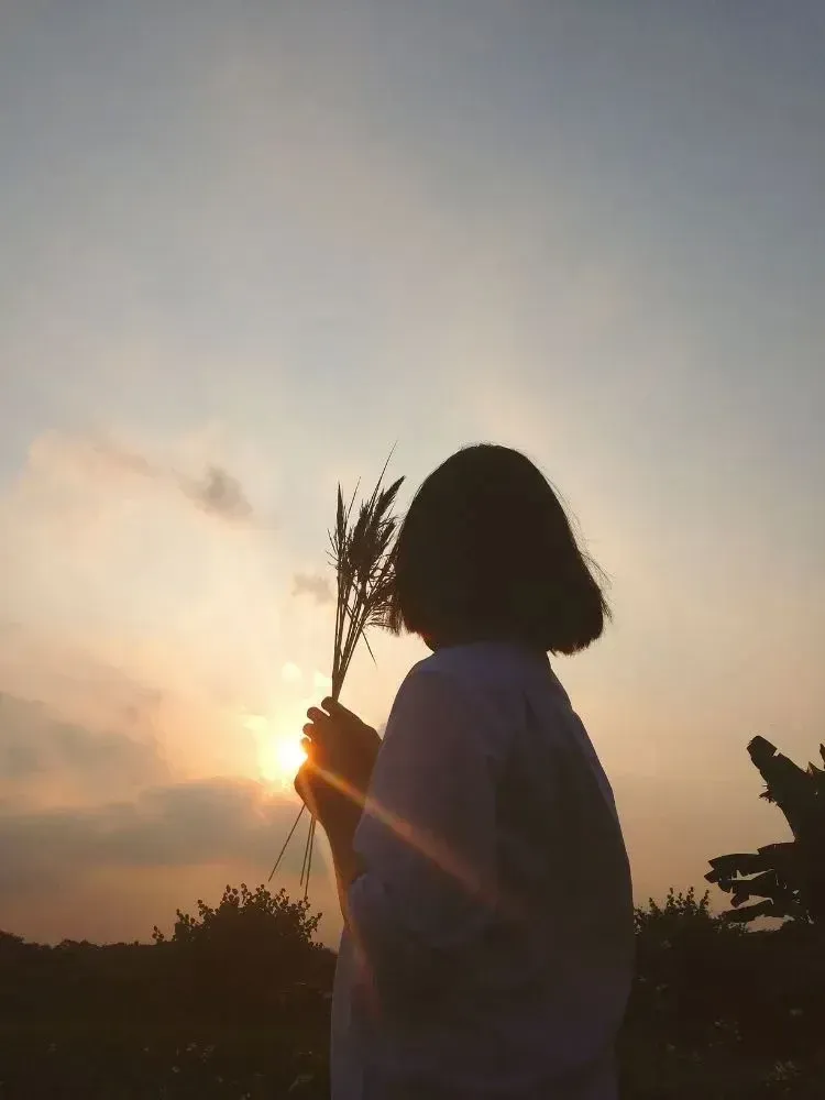 Hình nền chụp sau lưng với phong cảnh hoàng hôn