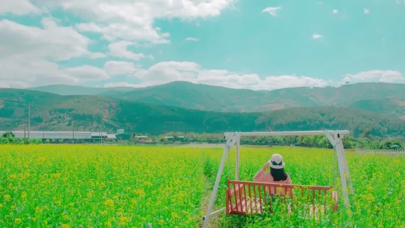 Hình nền chụp từ phía sau với ánh sáng huyền bí