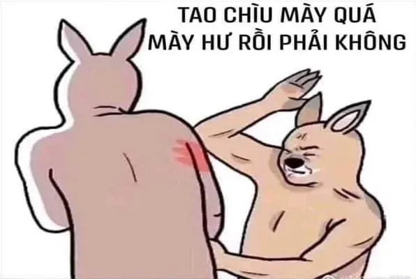 Meme Facebook hài hước khiến bạn cười thả ga